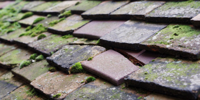 Guyhirn roof repair costs